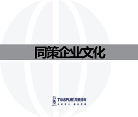 致客戶的承諾——做值得托付的房地產智囊\n副標題 某房地產咨詢服務公司企業文化重塑行動綱要文件（內部審核版）\n\n**第2-3頁 我們的行業信念**\n? 房地產不僅是鋼筋水泥，更是城市靈魂的載體?！拔覀冏鹬孛恳粔K土地的基因。”\n? 唯一不變的是變化與專業。核心命題 從增長邏輯轉向價值邏輯的生存之道。\n\n**第4-5頁 使命定義**\n我們存在的根本原因 “賦能不動產全周期，讓投資回歸價值本質。”（注 在供給側改革與去金融化大背景下，幫助客戶甄別泡沫，專注抗周期真理。）\n\n**第6-8頁 戰略